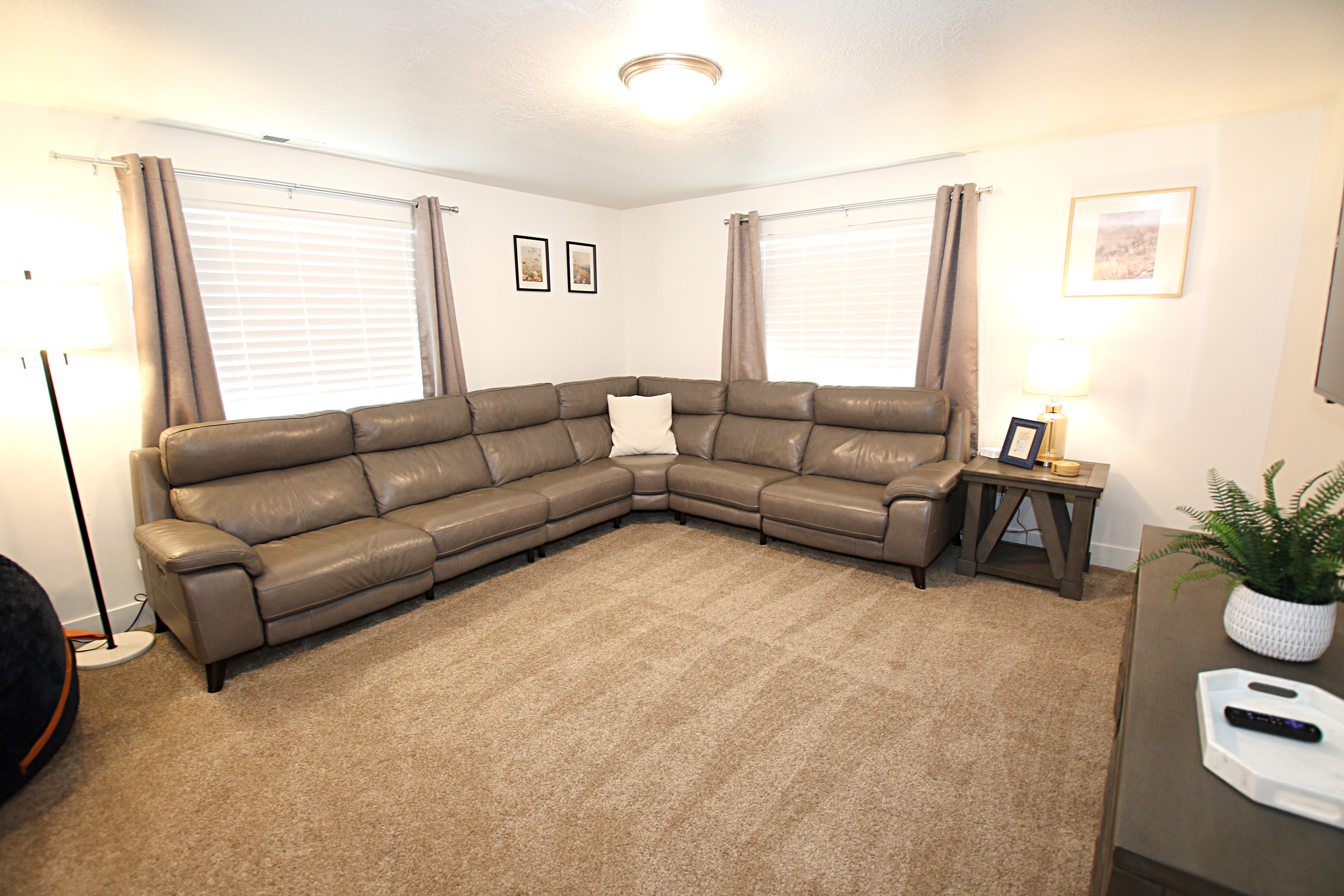 Family Room Downstairs