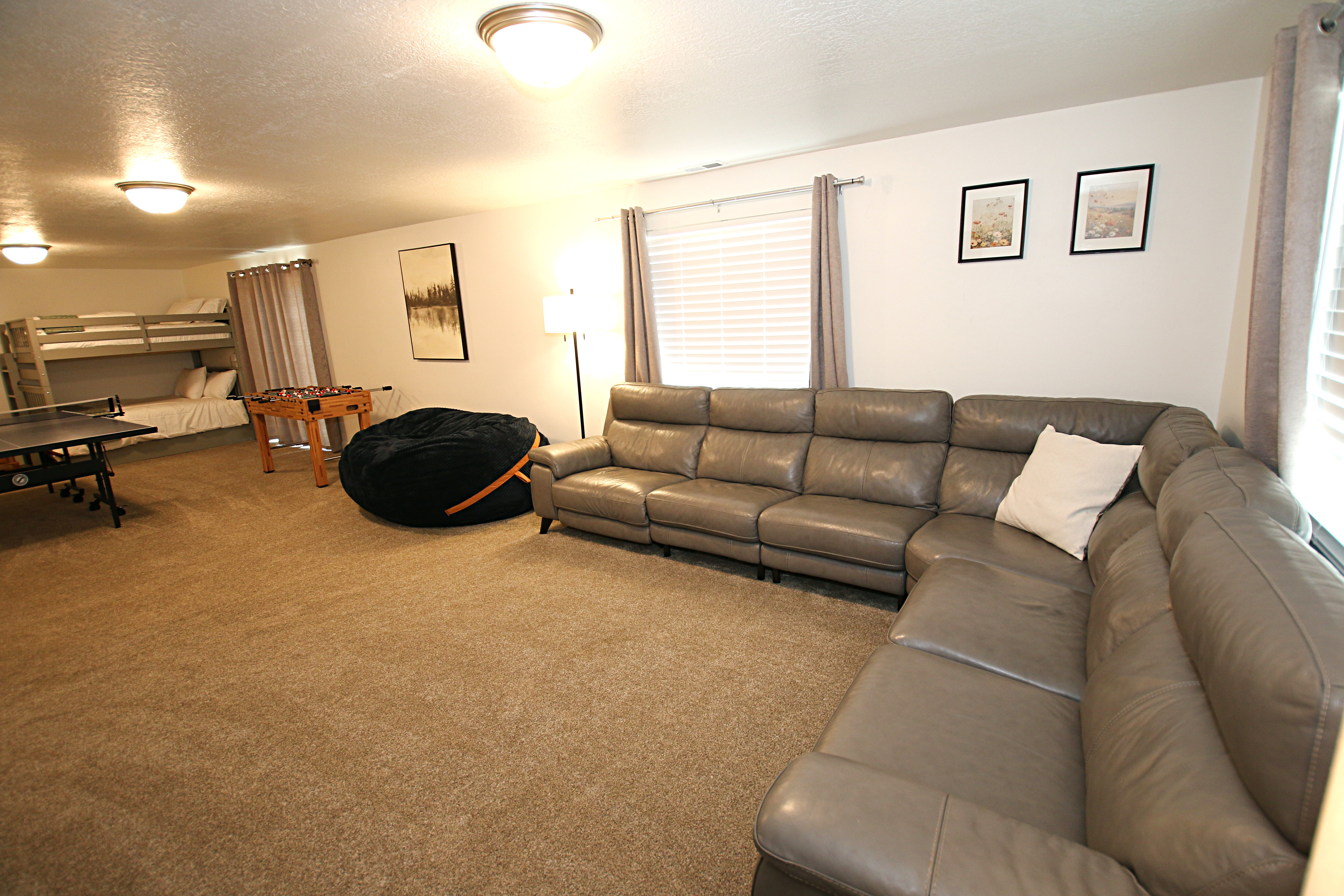 Family Room Downstairs